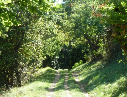 En Ardèche Secrète