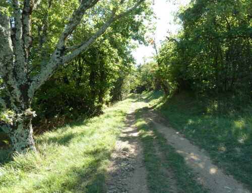 En Ardèche Secrète